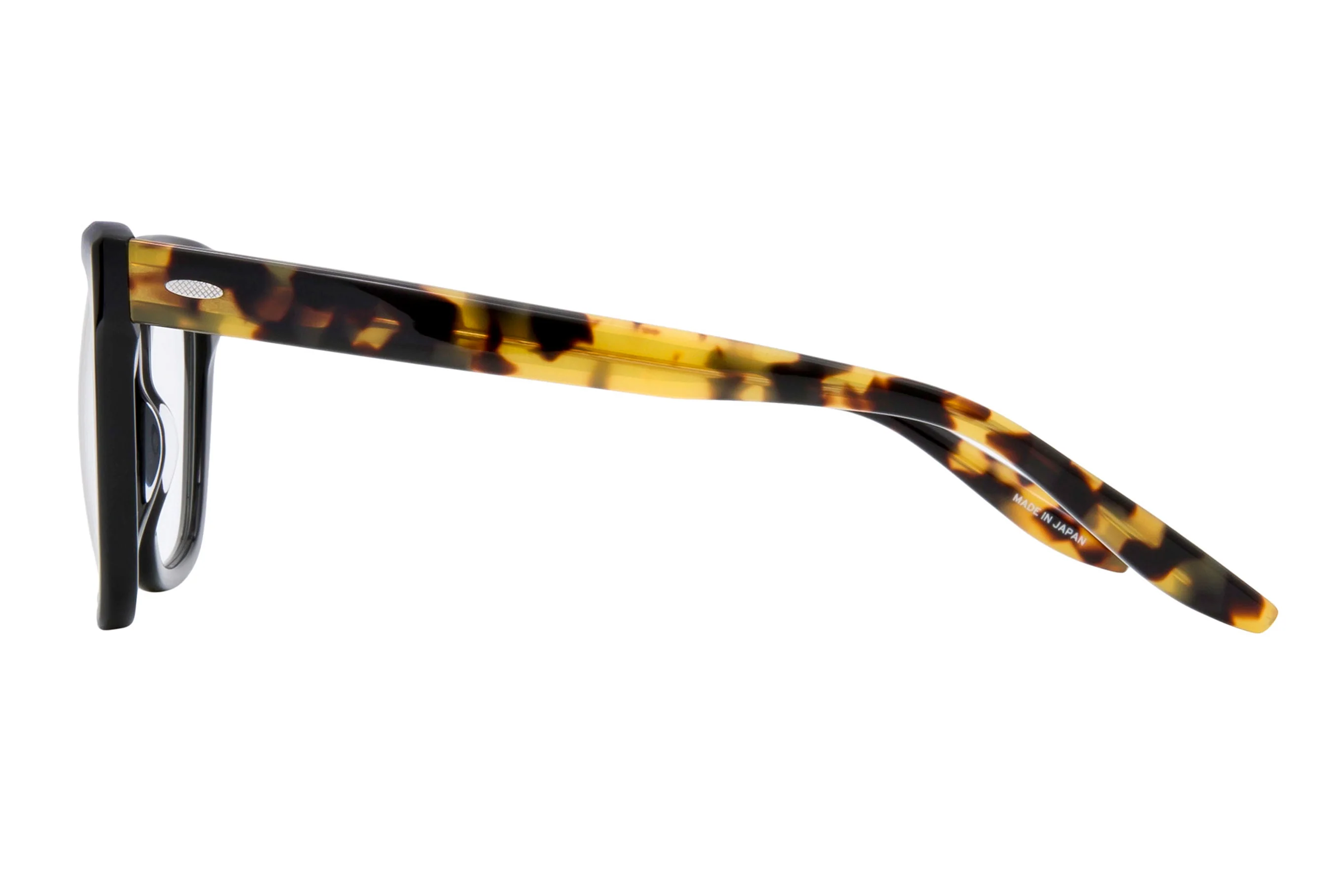 Parker - Image 10
